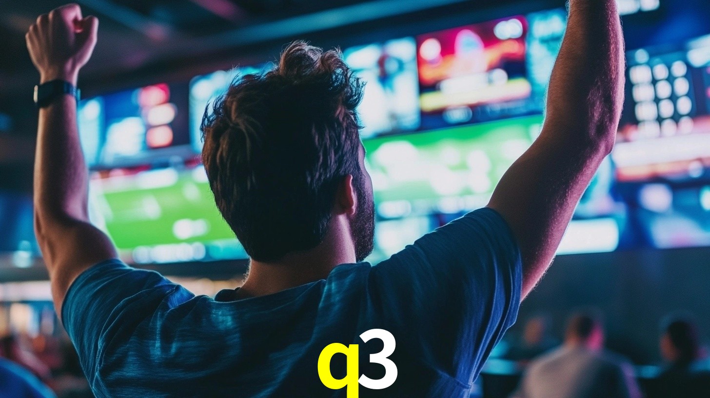 q3.com